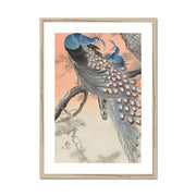 Two Peacocks on Tree Branch Framed & Mounted Print