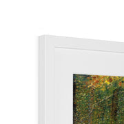 The Forest at Pontaubert Framed & Mounted Print