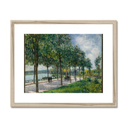 Allée of Chestnut Trees Framed & Mounted Print