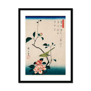 The ukiyo-e illustration, Camellia and Nightingale Framed & Mounted Print