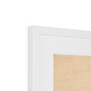 Hermine Gallia Framed & Mounted Print