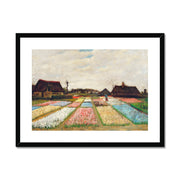 Flower Beds in Holland  Framed & Mounted Print