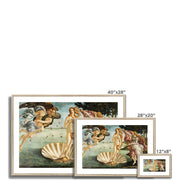 The Birth of Venus Framed & Mounted Print