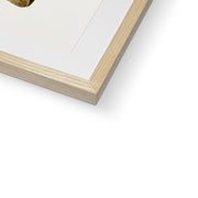 Eurasian eagle-owl Framed & Mounted Print