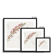 Cardinal Flower Framed & Mounted Print