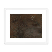 Rushes by a pool Framed & Mounted Print