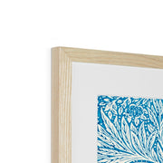 Marigold Framed & Mounted Print