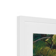 The Large Tree Framed & Mounted Print