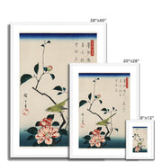 The ukiyo-e illustration, Camellia and Nightingale Framed & Mounted Print
