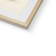 The Pine Trees of El Monte, California Framed & Mounted Print