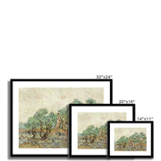 The Olive Orchard (1889) Framed & Mounted Print