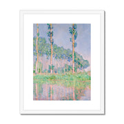 Poplars, Pink Effect Framed & Mounted Print