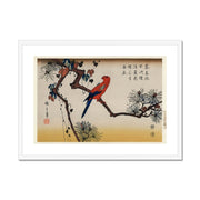 Ukiyo-e illustration, Macaw on Pine Branch Framed & Mounted Print