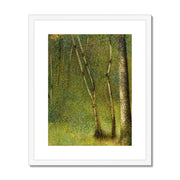 The Forest at Pontaubert Framed & Mounted Print