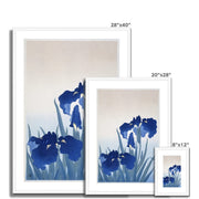 Iris flowers Framed & Mounted Print