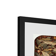 Zodiaque or La Plume Framed & Mounted Print