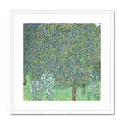 Rosebushes under the Trees Framed & Mounted Print