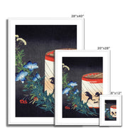 Bellflower and Lantern Framed & Mounted Print