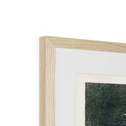 Group of Egrets Framed & Mounted Print