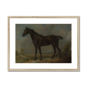 Golding Constable's Black Riding-Horse Framed & Mounted Print