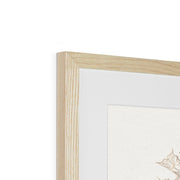 Studies of Meadow Flowers Framed & Mounted Print